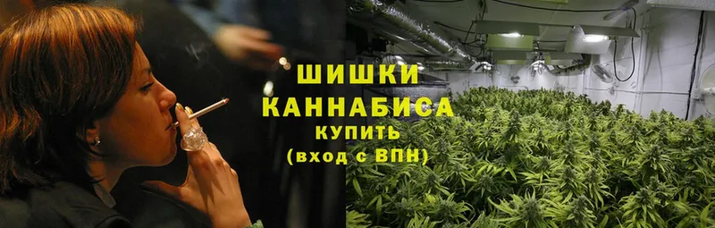 Шишки марихуана Bruce Banner  Жуков 